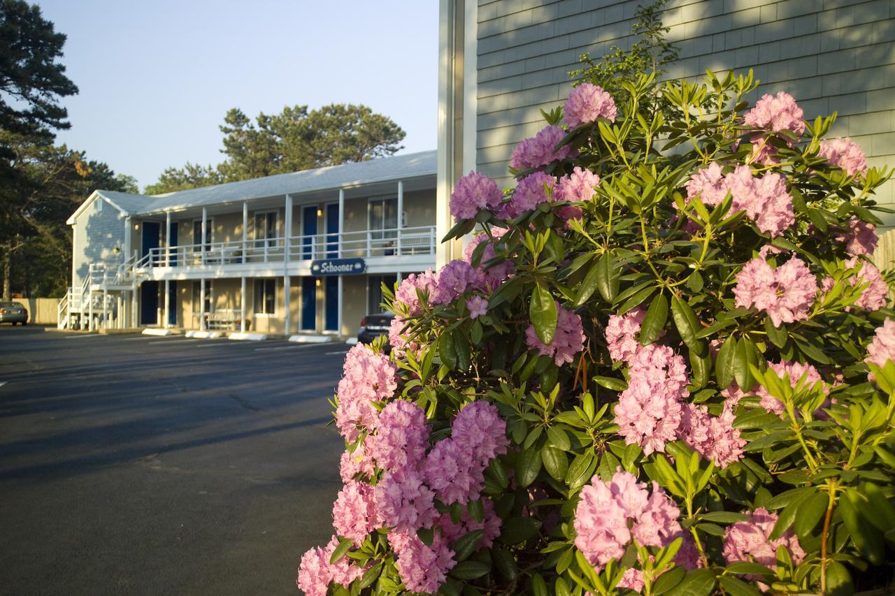 Southfleet Motor Inn ウェルフリート エクステリア 写真